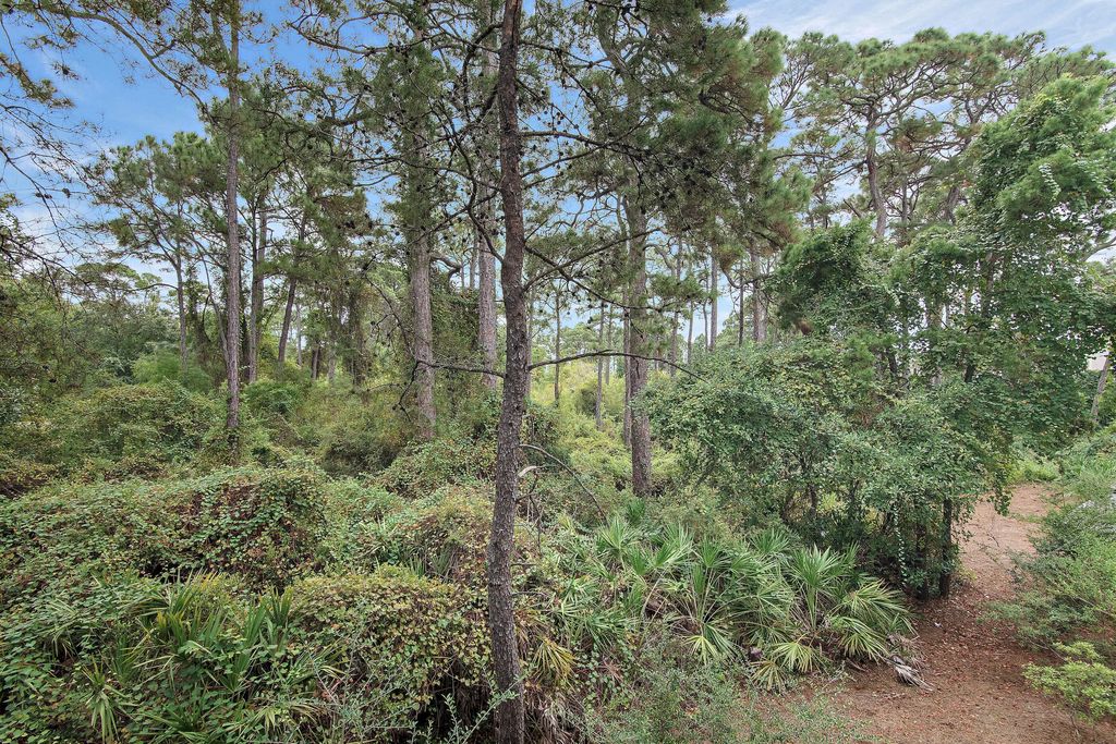 30 of 32 - 52 Charming Way, Santa Rosa Beach, FL