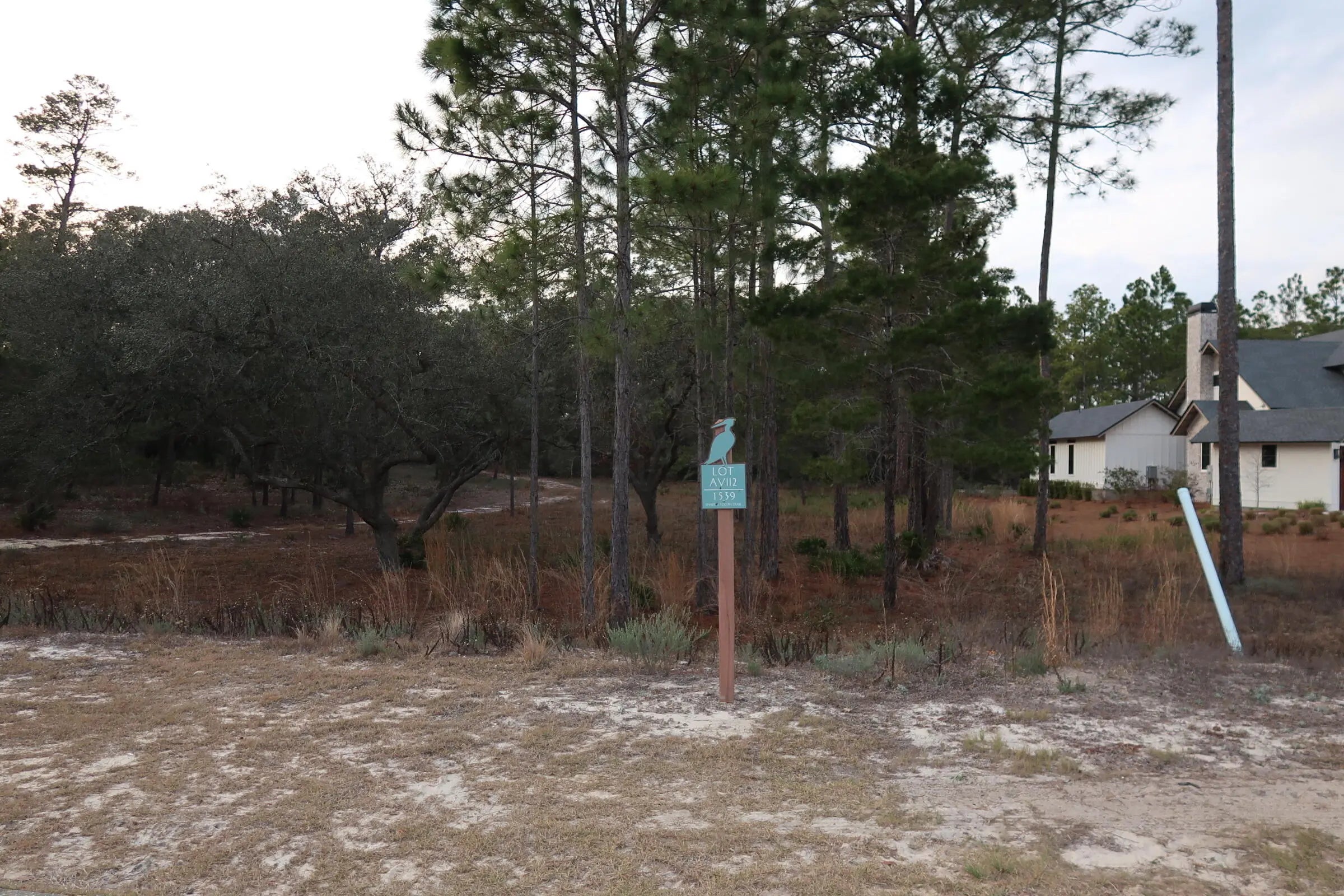 Photo of Listing #995008