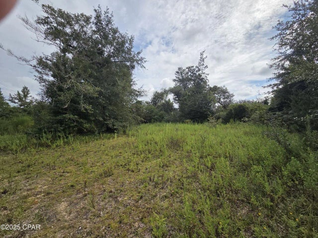 Photo of Listing #994408