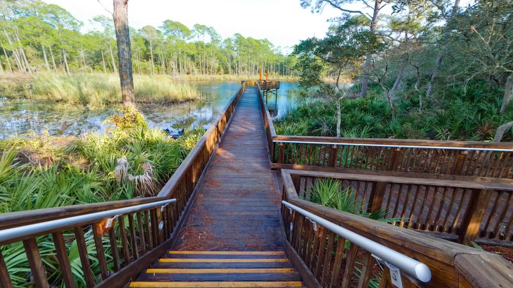 58 of 78 - 2046 W County Highway 30a M2422, Santa Rosa Beach, FL