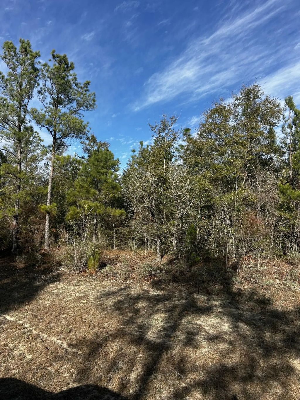 Tbd Valiant Drive, Chipley