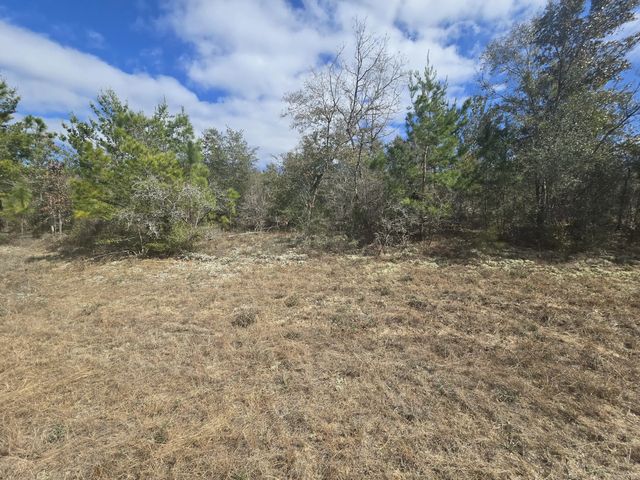 Photo of Listing #995793