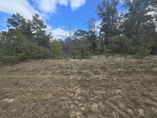 Photo of Listing #995796