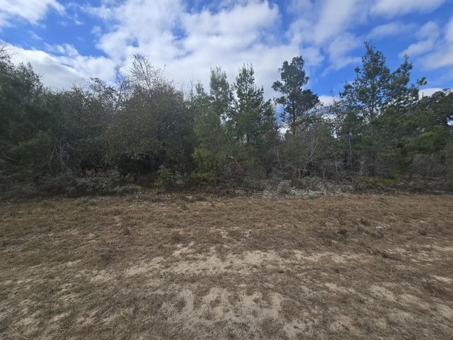 Photo of Listing #995799