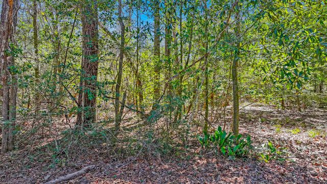 Photo of Listing #996338