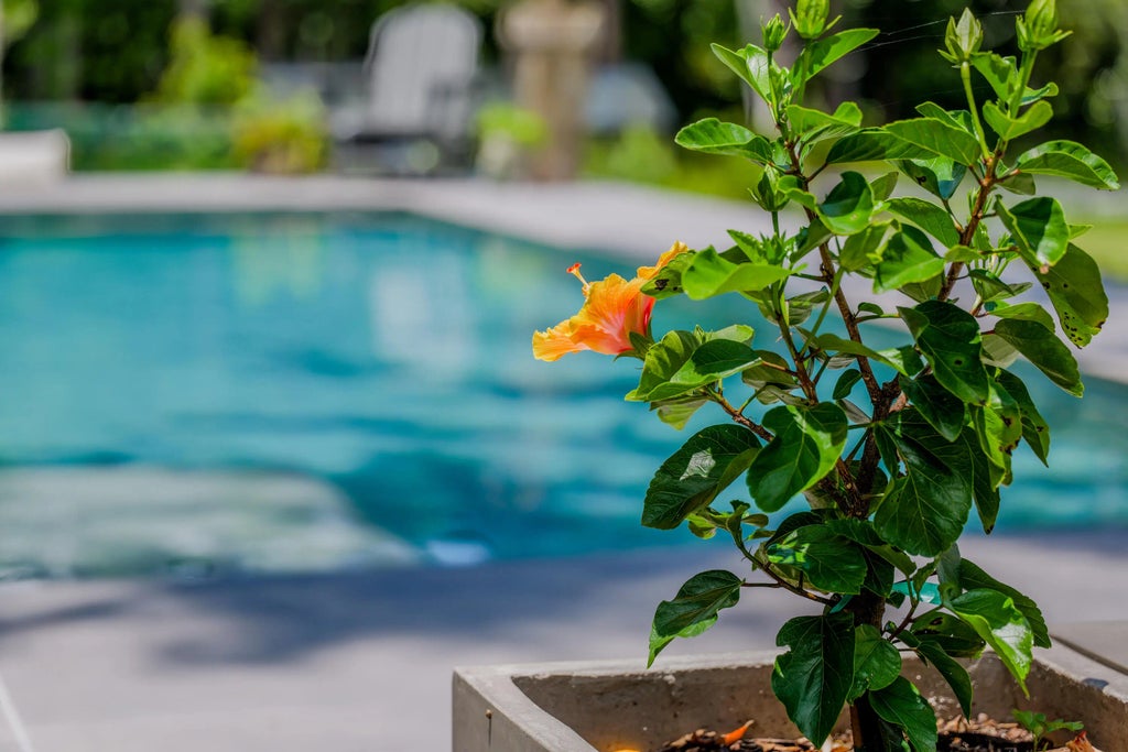 32 of 41 - 252 Chat Holley Road, Santa Rosa Beach, FL