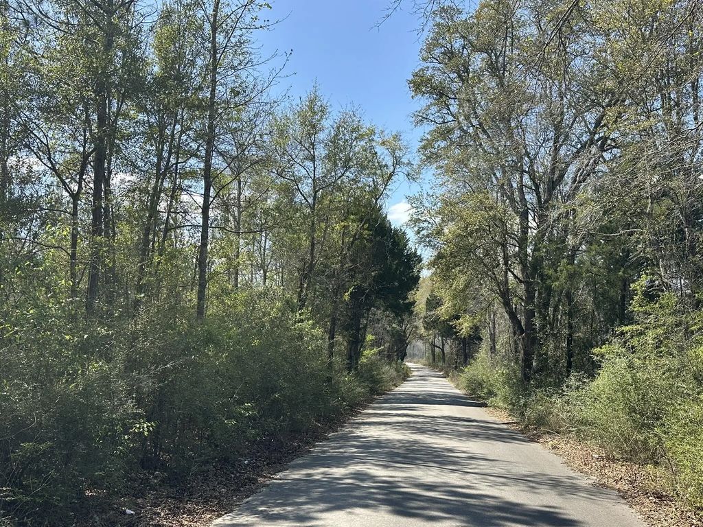 Tract#6336 Sand Path Road, Bonifay