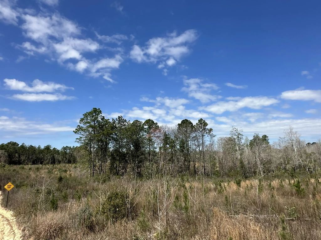 Tract#6409 Davis Road River Road, Caryville