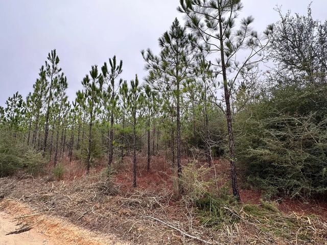 Photo of Listing #996820