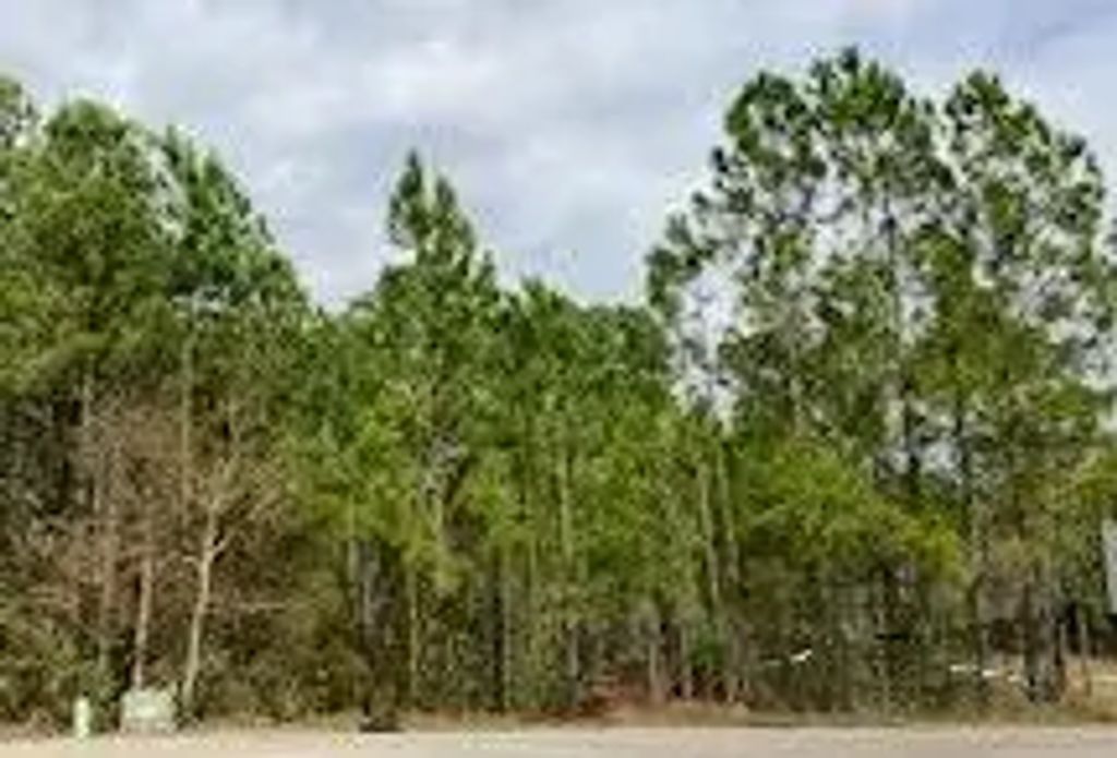 14 of 26 - Lot 59 N Sunset Harbour, Freeport, FL