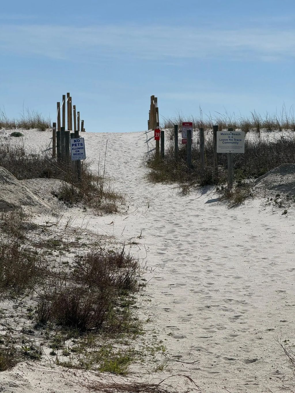 22 of 31 - 109 S 39th Street # D, Mexico Beach, FL