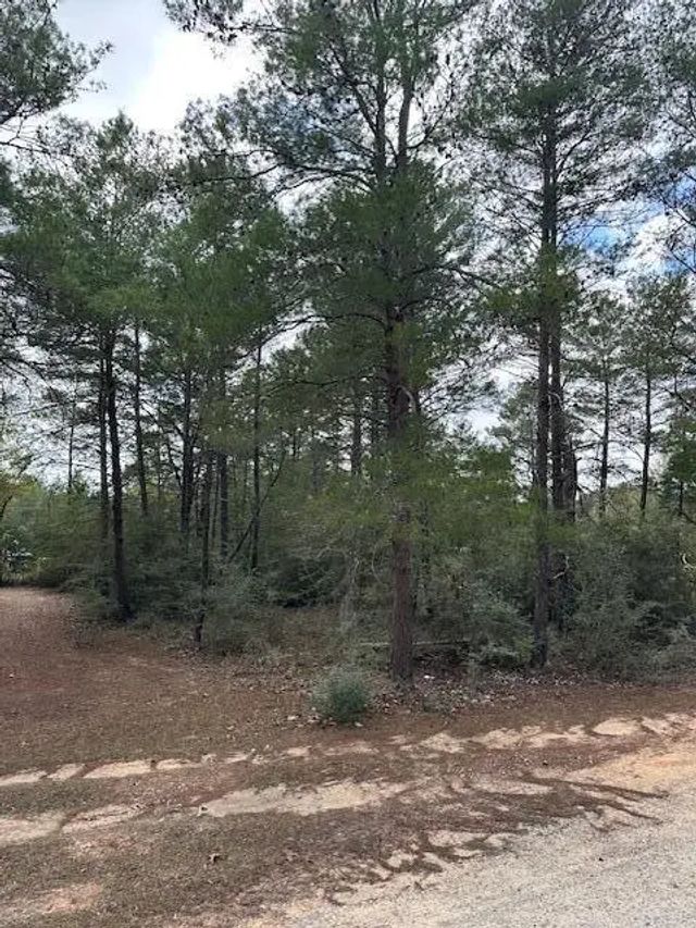 Photo of Listing #997192