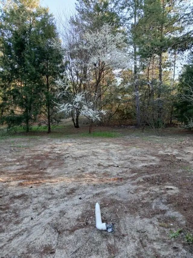 Photo of Listing #997585