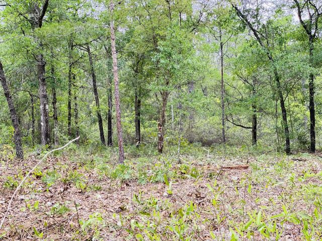 Photo of Listing #997158