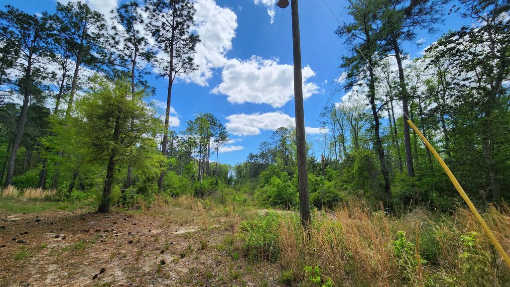21 of 25 - 3002 W State Highway 20, Freeport, FL