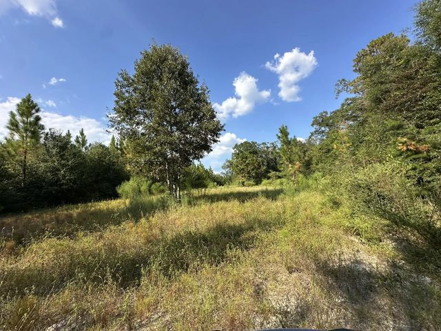 Photo of Listing #997643