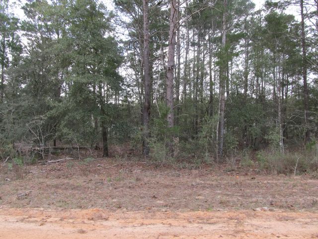 Photo of Listing #997685