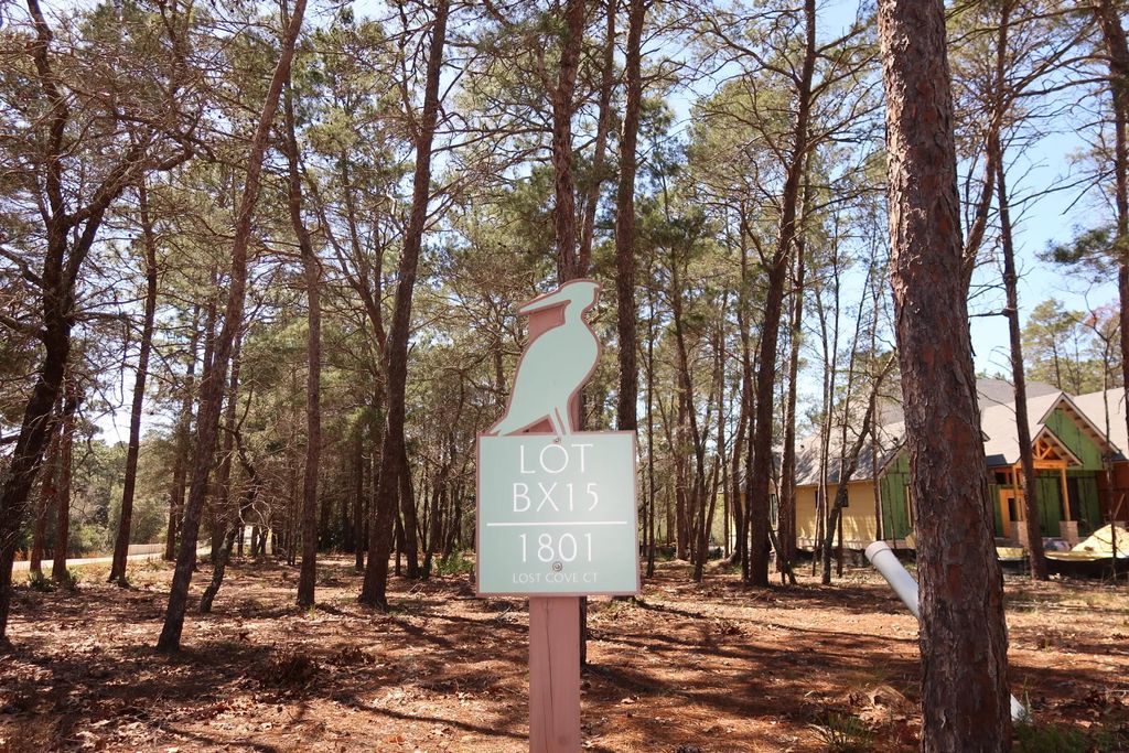 2 of 3 - 1801 Lost Cove Lane, Panama City Beach, FL