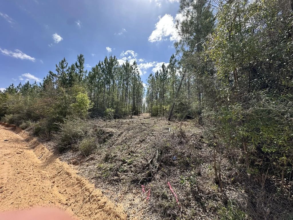 Tract#6418 Mattox Springs South 3, Caryville