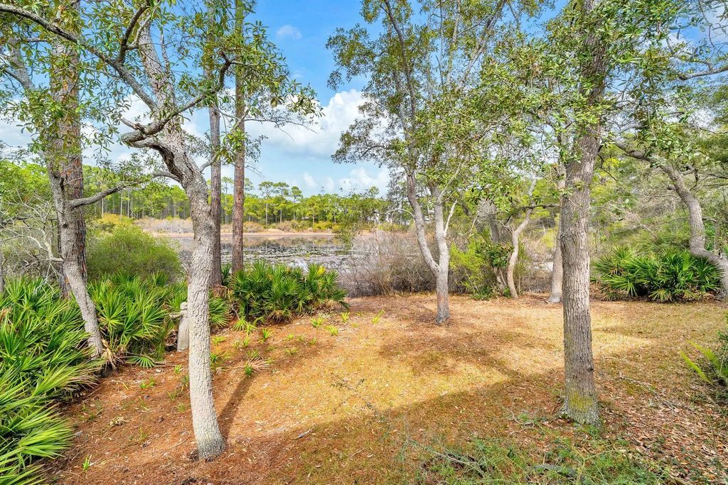 51 of 68 - 115 Satinwood & Lot 18 Gov Sd Drive, Santa Rosa Beach, FL