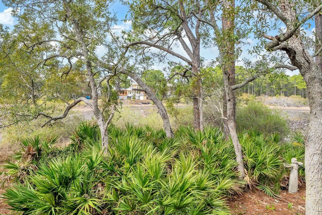 66 of 68 - 115 Satinwood & Lot 18 Gov Sd Drive, Santa Rosa Beach, FL