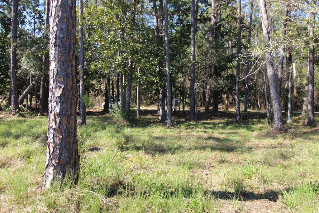16 of 26 - Lot 6 & 7 Alden Lane, Freeport, FL