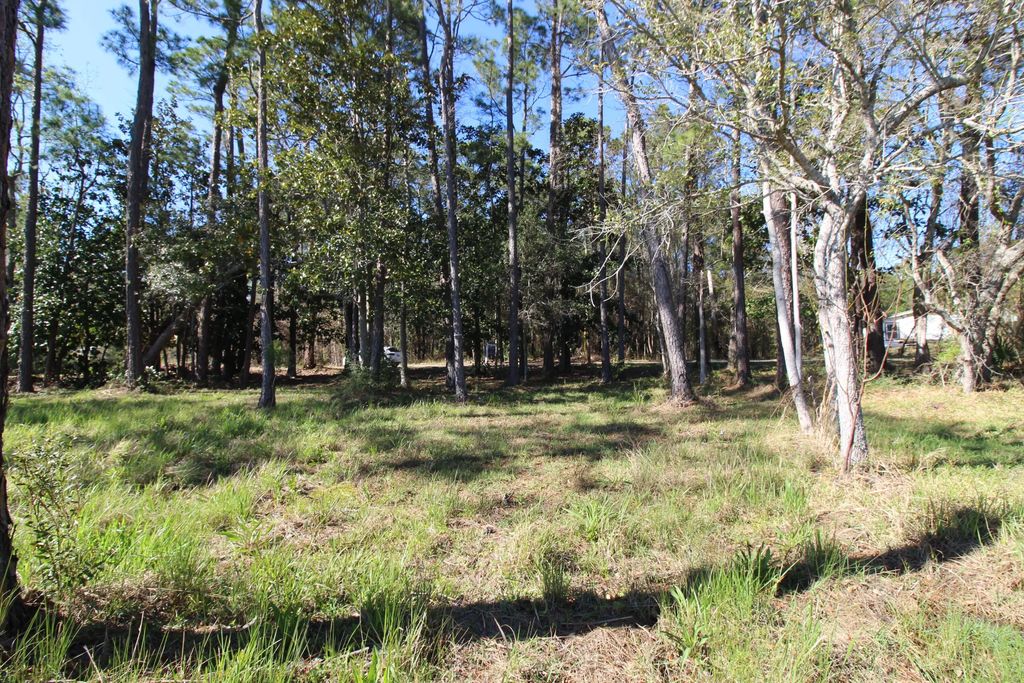 17 of 26 - Lot 6 & 7 Alden Lane, Freeport, FL