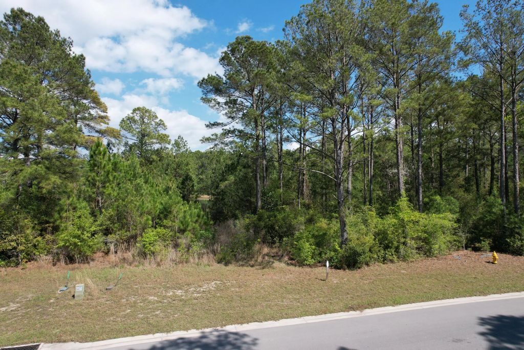 27 of 29 - Lot 51 S St Claire Lane, Freeport, FL