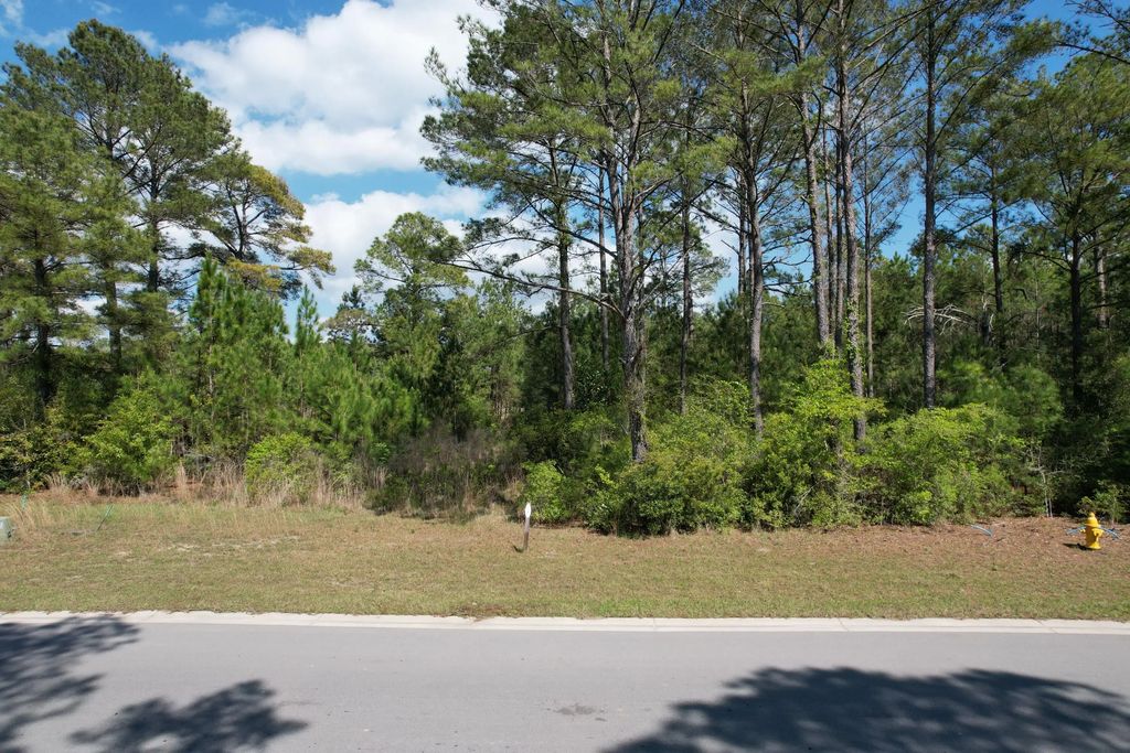 28 of 29 - Lot 51 S St Claire Lane, Freeport, FL