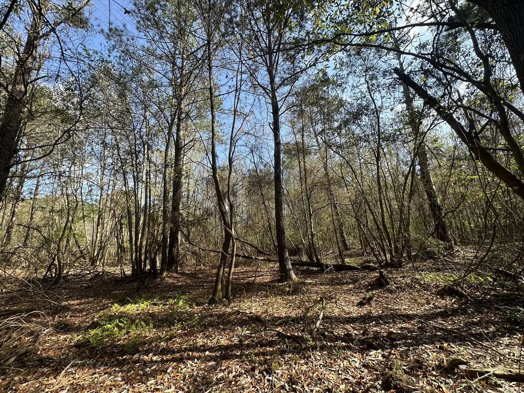 Lot E Snider Avenue, Other