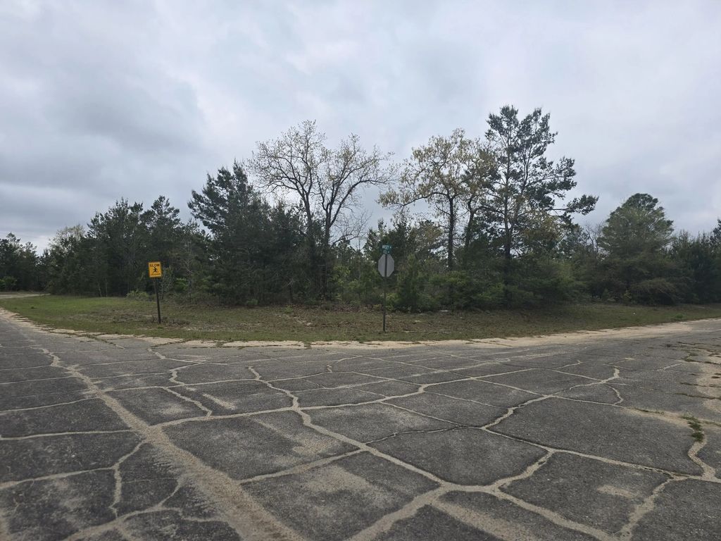 Tbd Otis Lane, Chipley