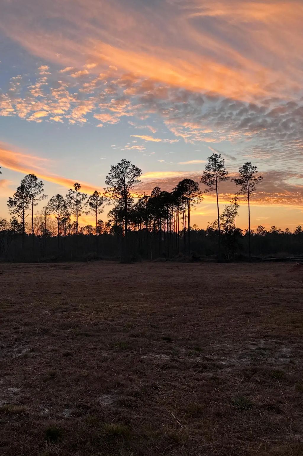 15 of 22 - 40 Acres Waverly Orchard Circle, Freeport, FL