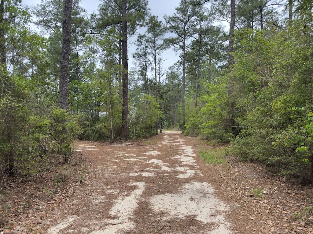 24 of 25 - 285 J W Hollington Road, Freeport, FL