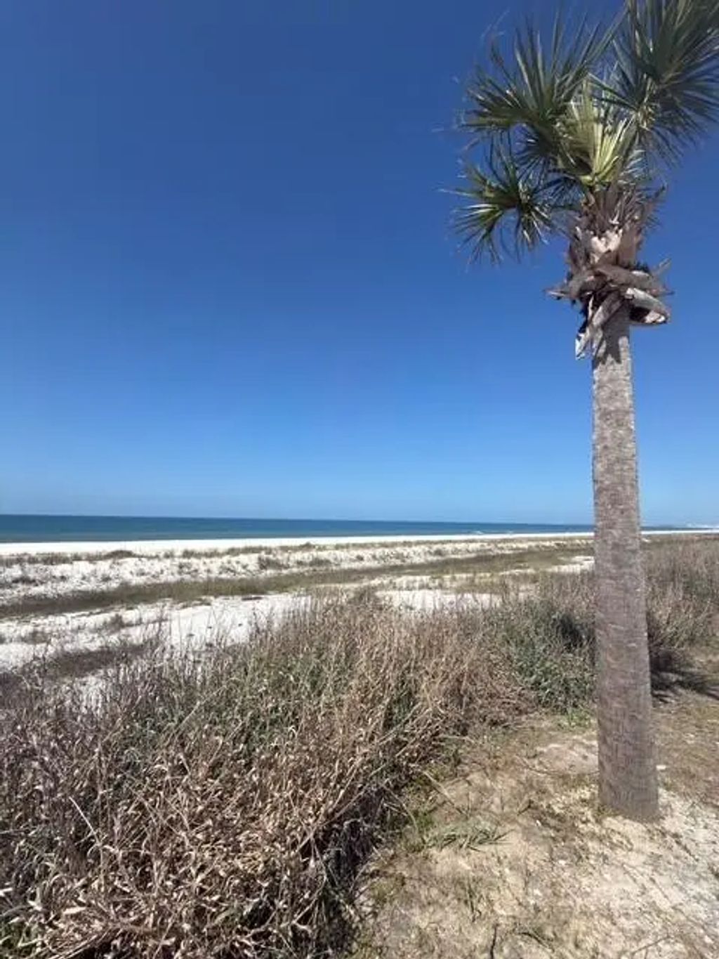 13 of 33 - Tbd 2nd Street, Mexico Beach, FL