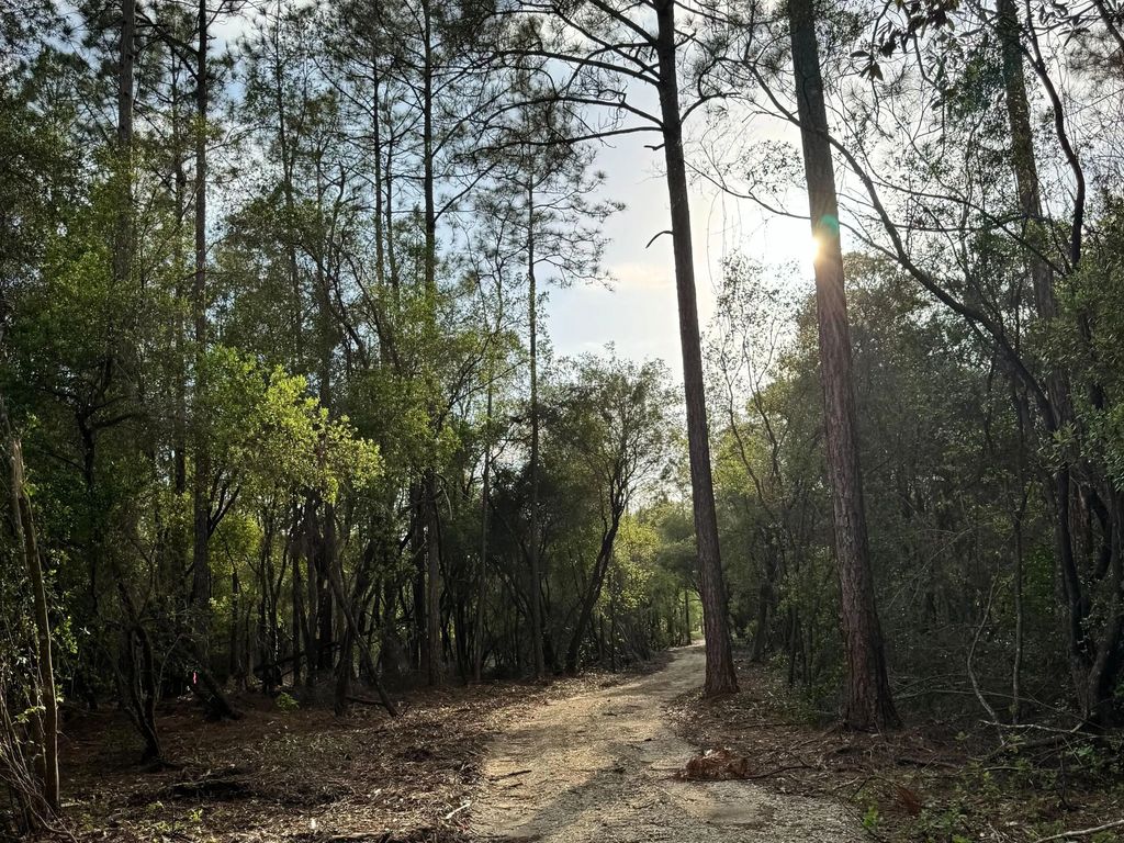 Lot 9 Pleasant Hill Road, Bonifay