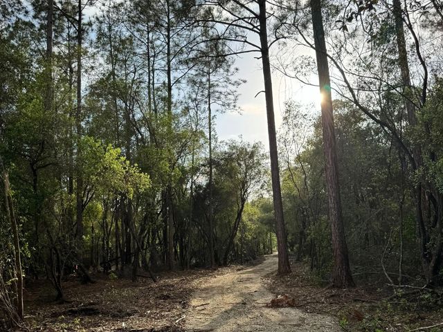 Photo of Listing #1001323