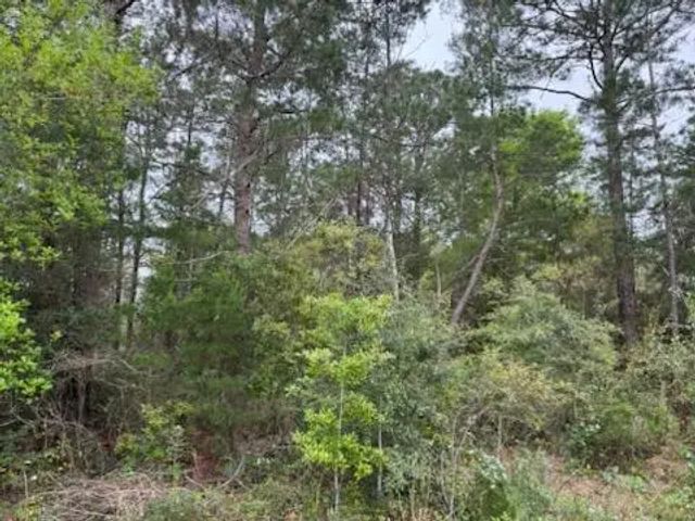 Photo of Listing #1001550