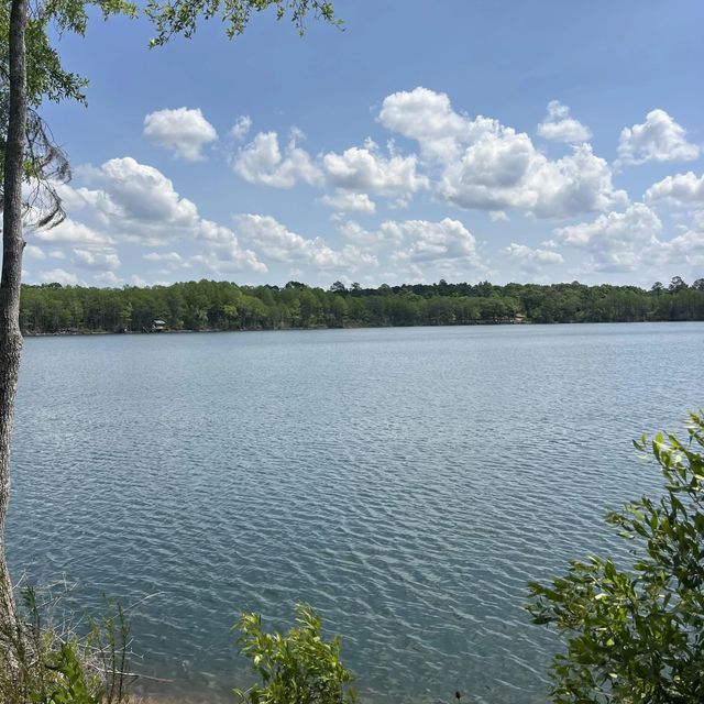Photo of Listing #1001699