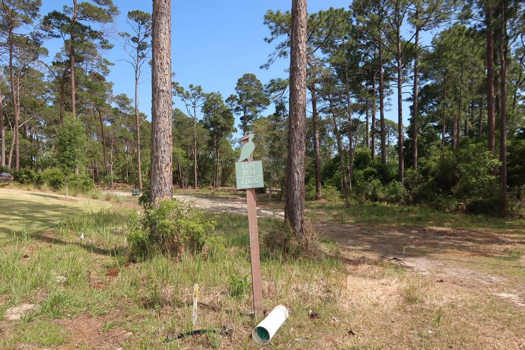 2 of 8 - 22600 Turtleback Lane, Panama City Beach, FL