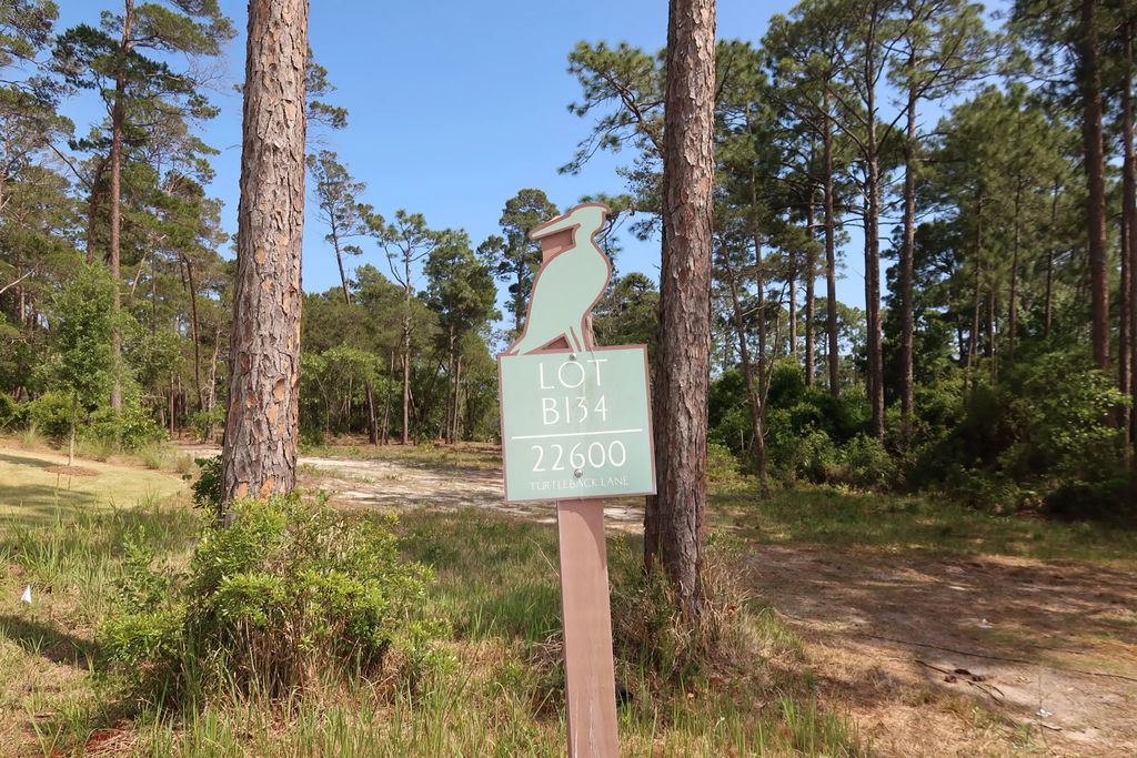 3 of 8 - 22600 Turtleback Lane, Panama City Beach, FL