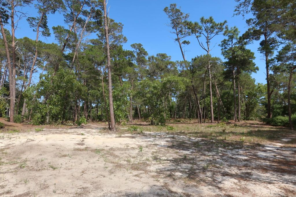 7 of 8 - 22600 Turtleback Lane, Panama City Beach, FL