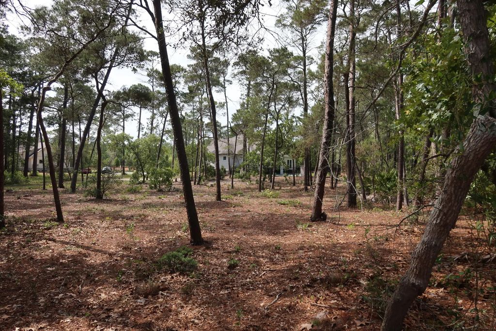8 of 8 - 22600 Turtleback Lane, Panama City Beach, FL