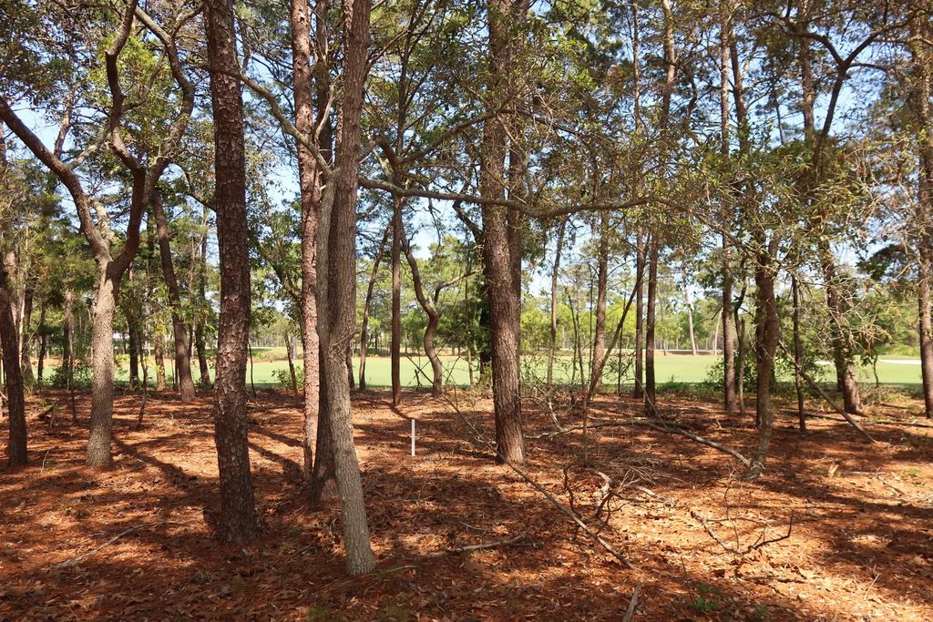 4 of 5 - 1626 Lost Cove Lane, Panama City Beach, FL
