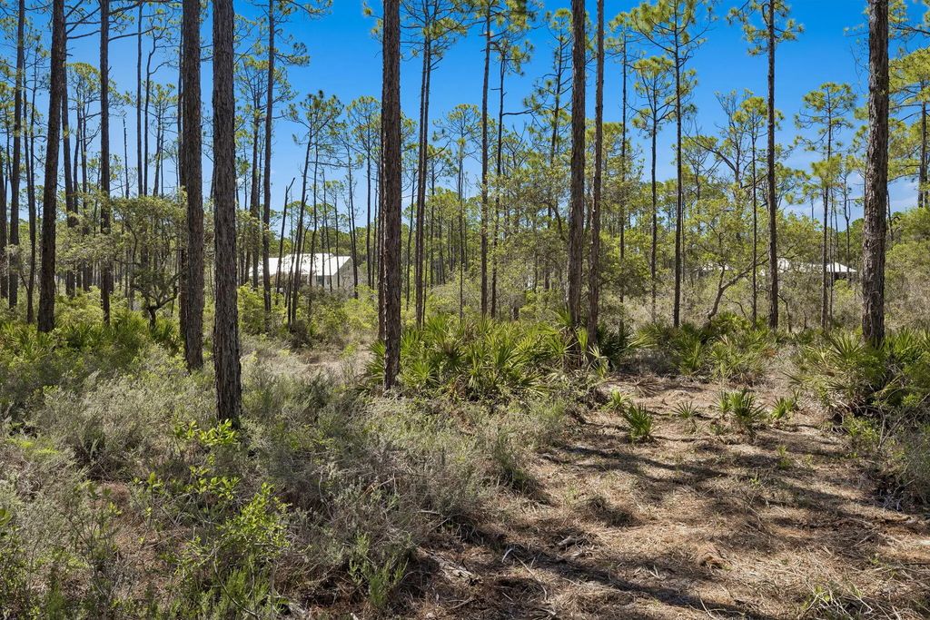 11 of 17 - 6315 Turkey Cove Lane, Panama City Beach, FL