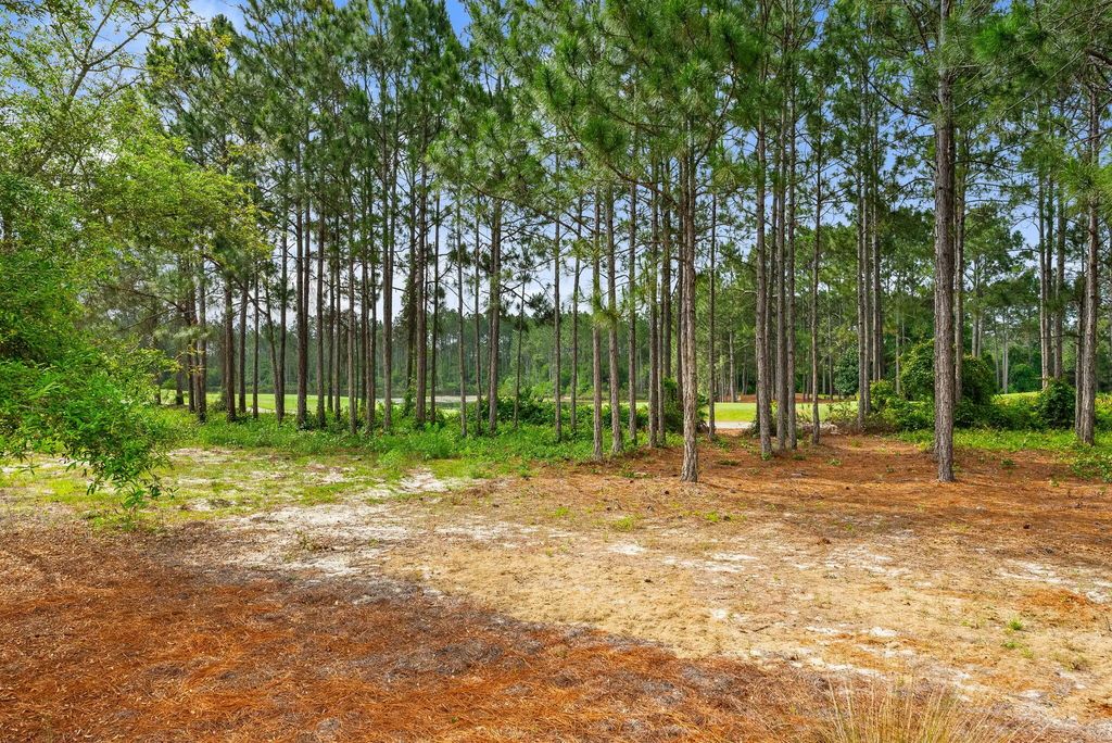 51 of 97 - 1532 Salamander Trail, Panama City Beach, FL