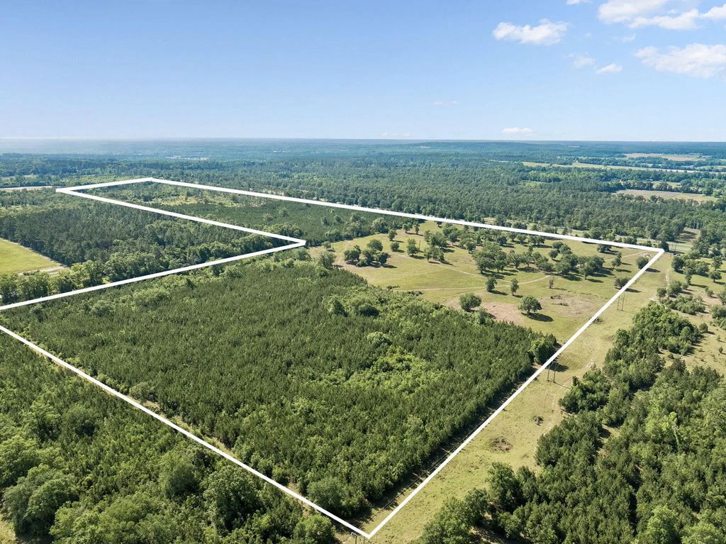 1205 Orange Hill Road, Chipley