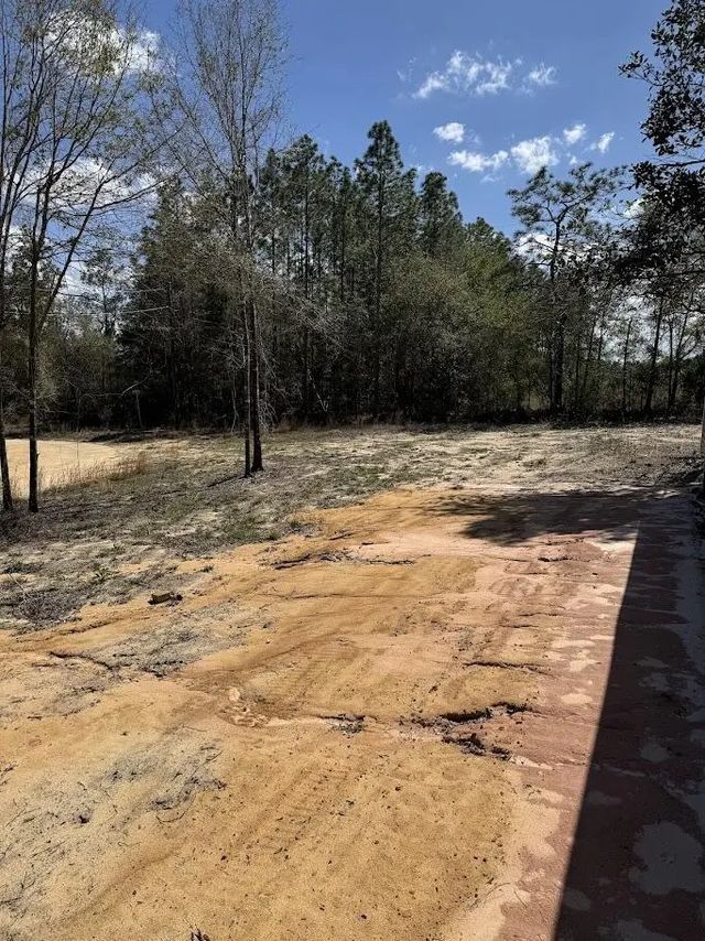 Photo of Listing #1003212