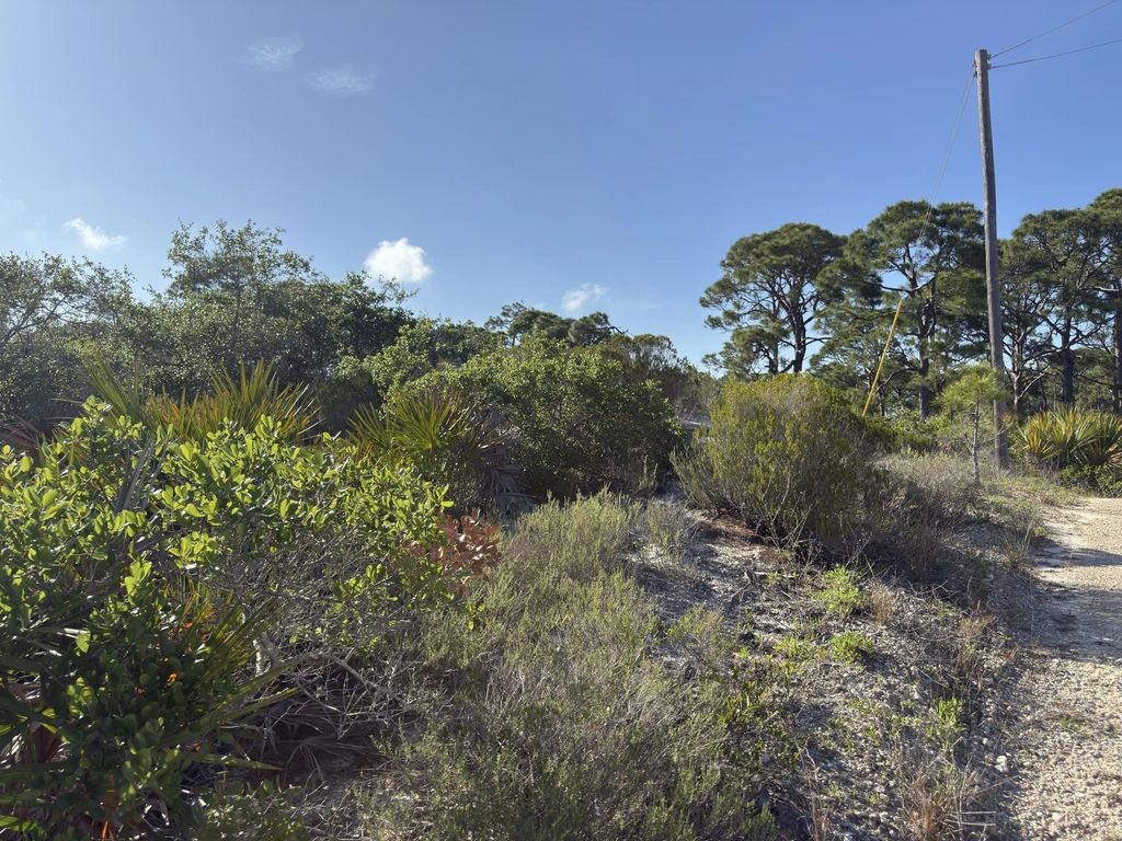 105 Sand Trace Drive, Cape San Blas