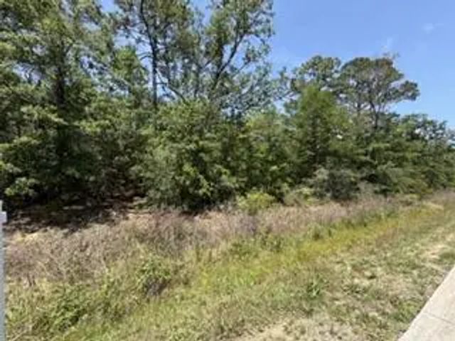Photo of Listing #1003274