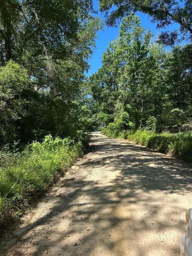 Photo of Listing #1003655
